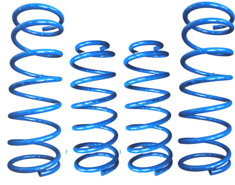 King, Comfort Blue Coil Springs, for Nissan Y61